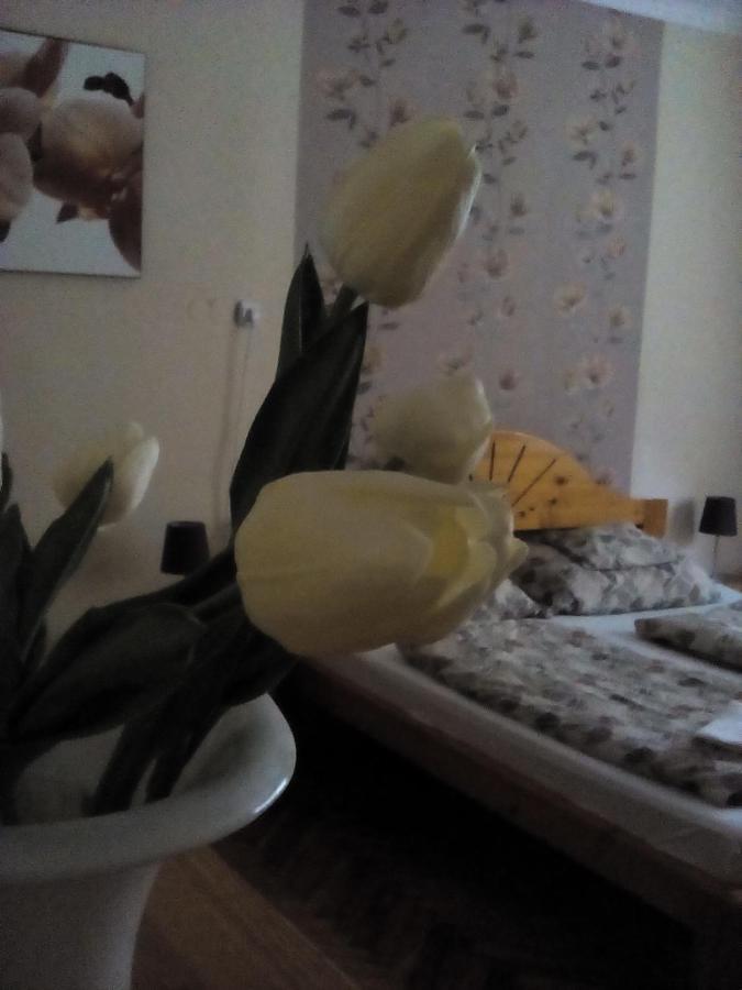 Csilla Apartman Makó Екстериор снимка